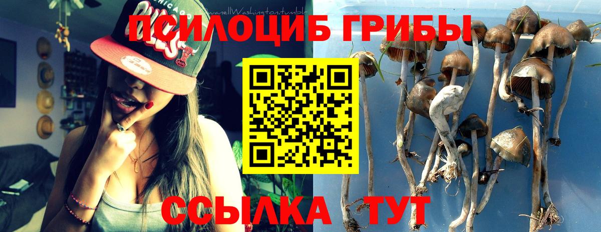 Галлюциногенные грибы MAGIC MUSHROOMS  Псилоцибиновые грибы GOLDEN TEACHER  Вход с VPN  Балтийск 