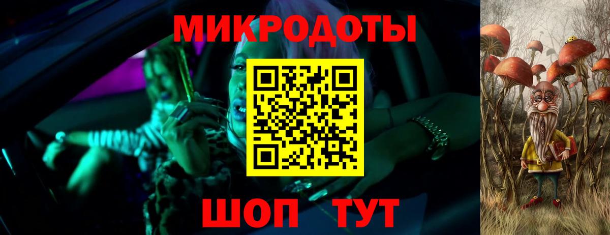 Галлюциногенные грибы мухоморы Балтийск